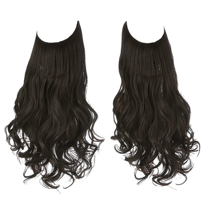 Extensions de cheveux bruns noirs
